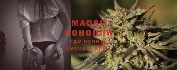 молекула духа Дмитриев