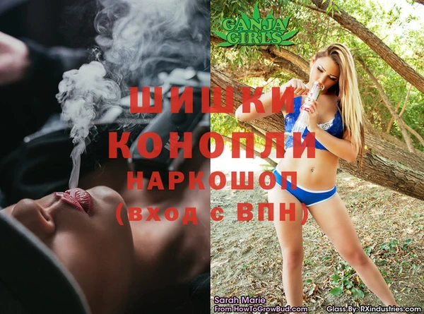 тгк Дмитровск