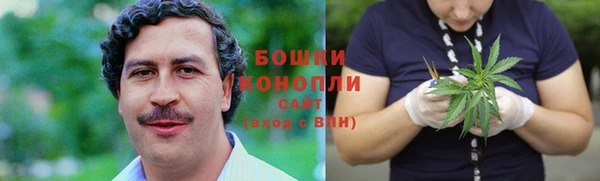молекула духа Дмитриев