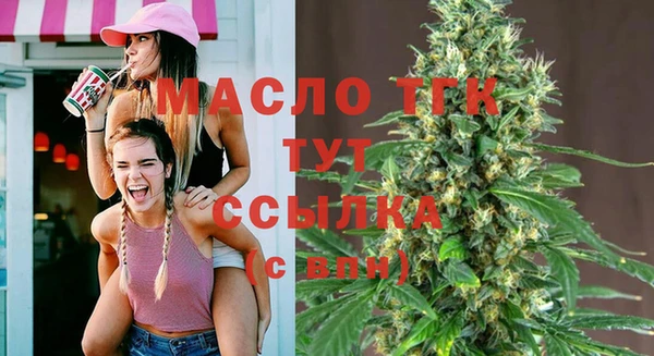 тгк Дмитровск