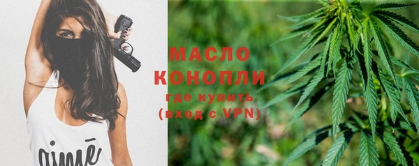 молекула духа Дмитриев