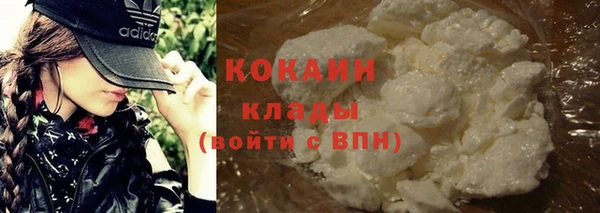 тгк Дмитровск
