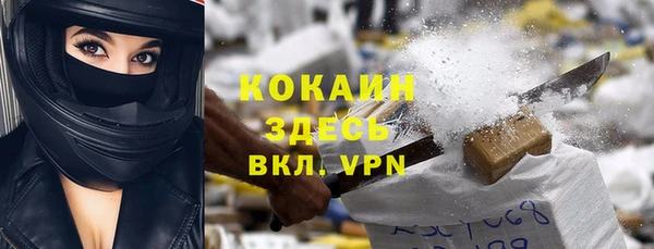 мдпв Дмитров
